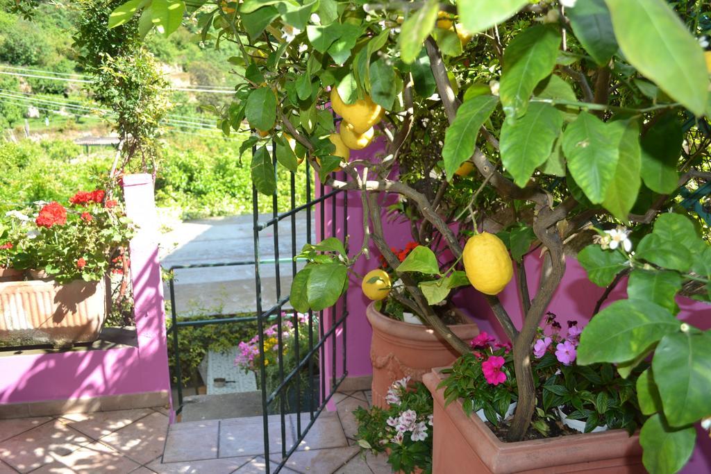Casa Nobile Bed and Breakfast Tovo San Giacomo Exteriör bild